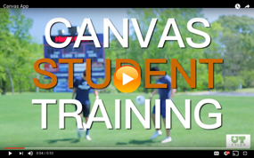 Canvas Student Training