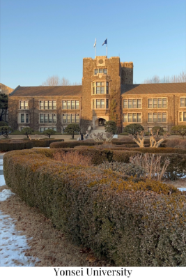 yonsei yonsei