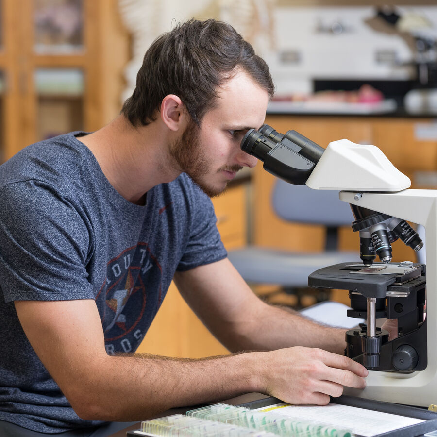 BS in Biology recommended program at UT Tyler