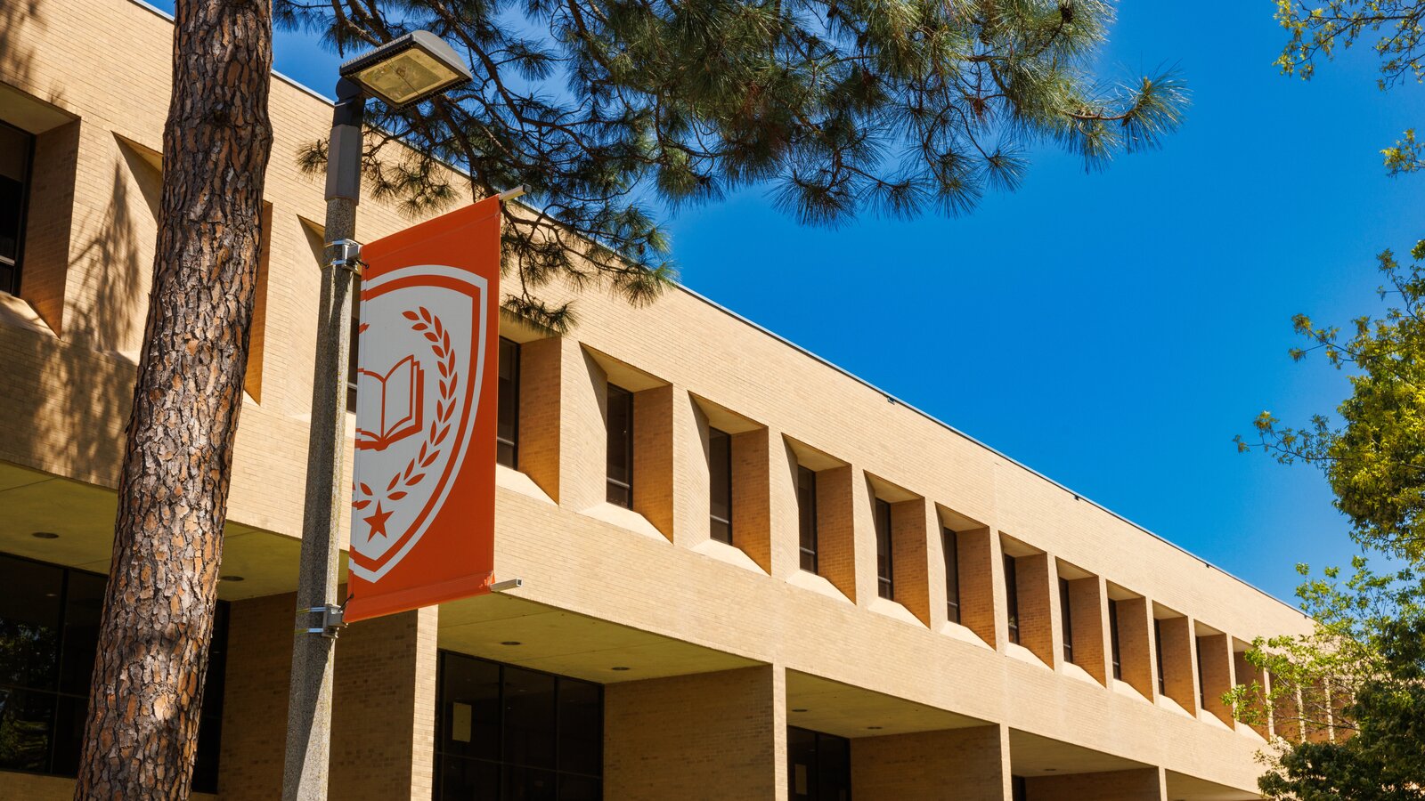 UT Tyler flag pole