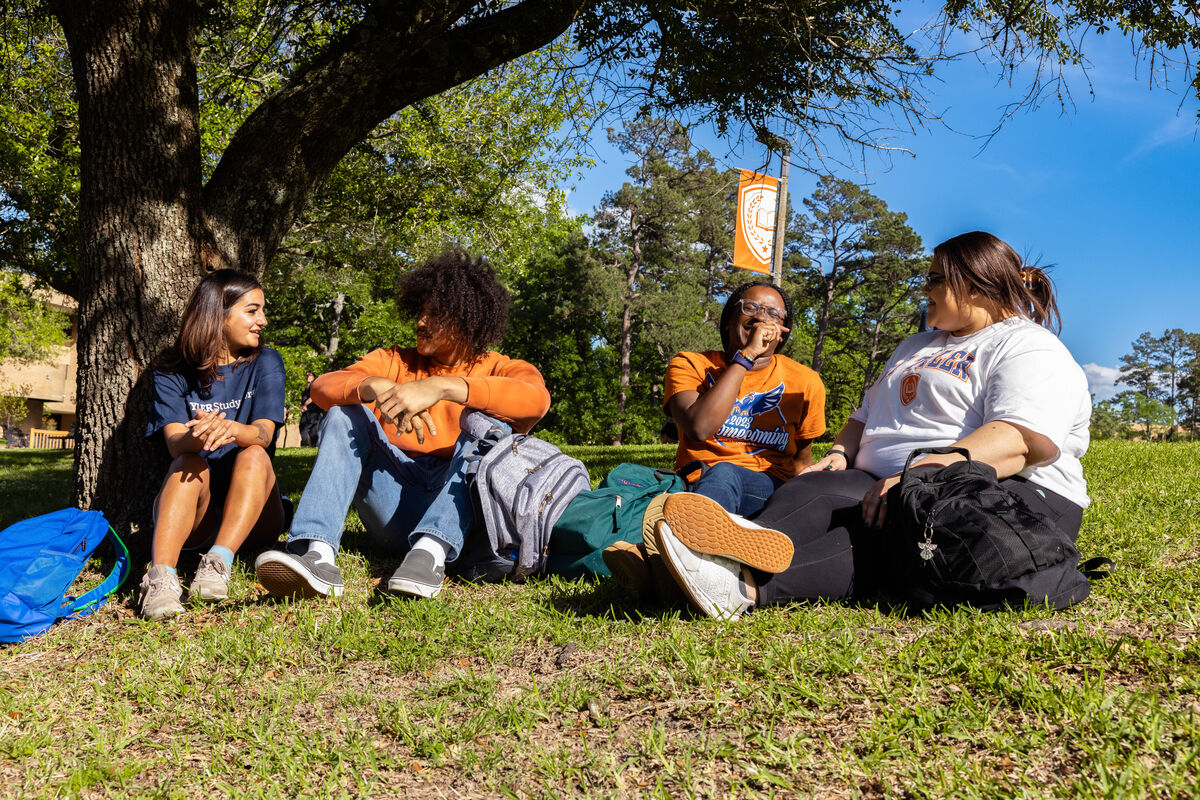 Four UT Tyler students sitting outside under a tree