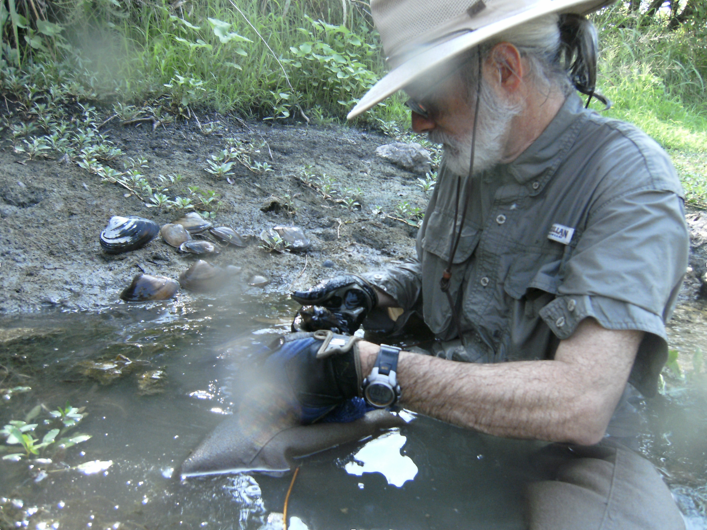 Dr. Ford out in the field in Sabine River conducting mussel research