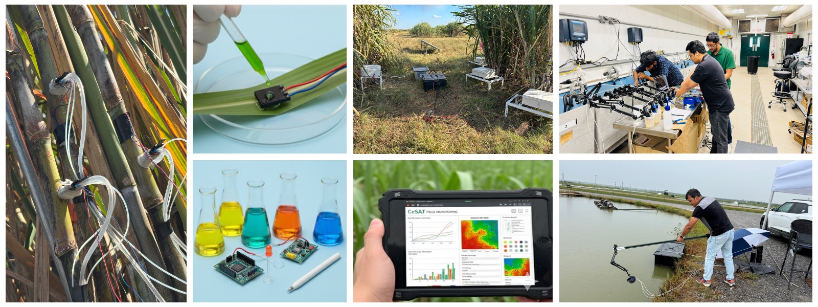 CeSAT collage of images