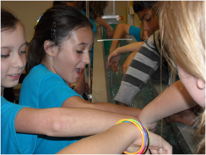 Students touching flume