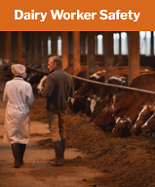 Dairy Worker Safety