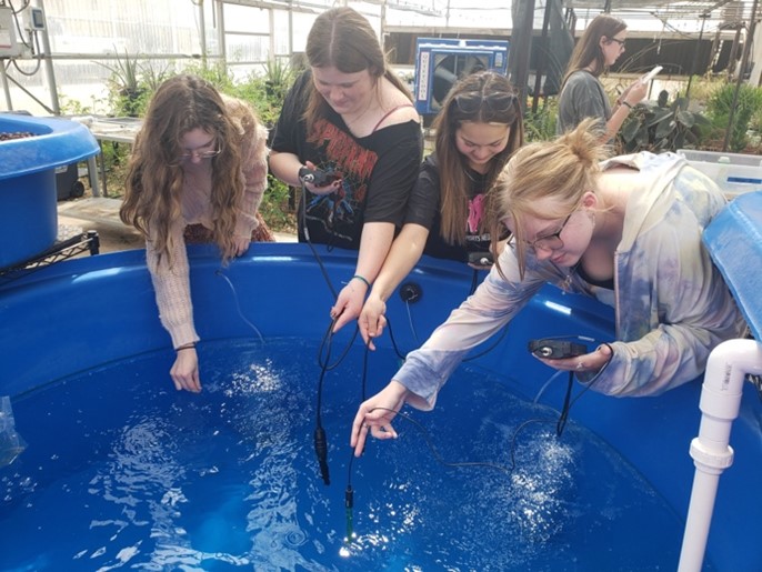 Four students surrounding water