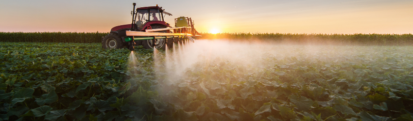 Pesticide and Chemical Safety