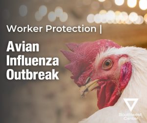 Avian Influenza Outbreak