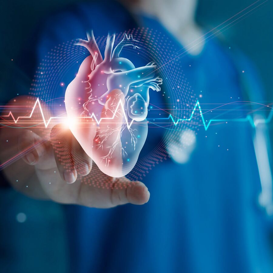 Cardiologist doctor examine patient heart functions and blood vessel on virtual interface. Medical technology and healthcare treatment to diagnose heart disorder and disease of cardiovascular system.