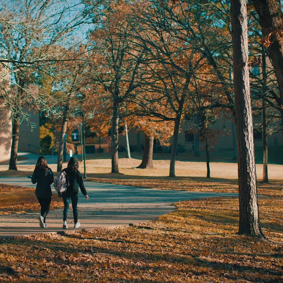 students walking on a path covered with leaves