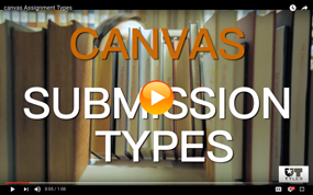 Canvas Submission Types