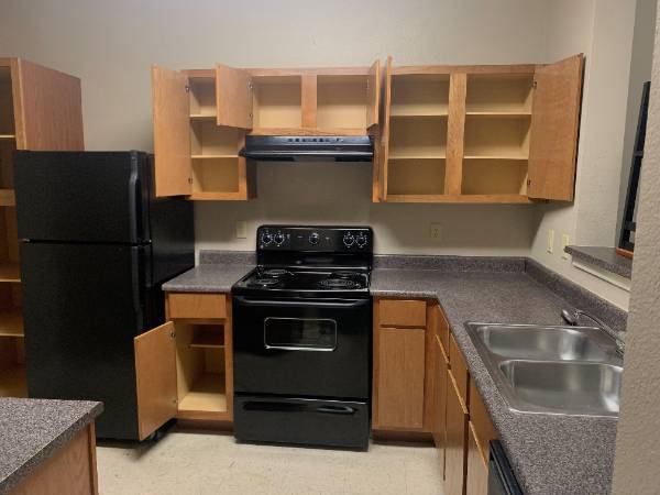 Kitchen showing stove and open cabinets